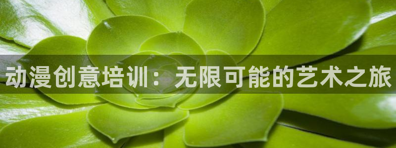 managereader漫画官网入口：动漫创意培训：无限可能的艺术之旅