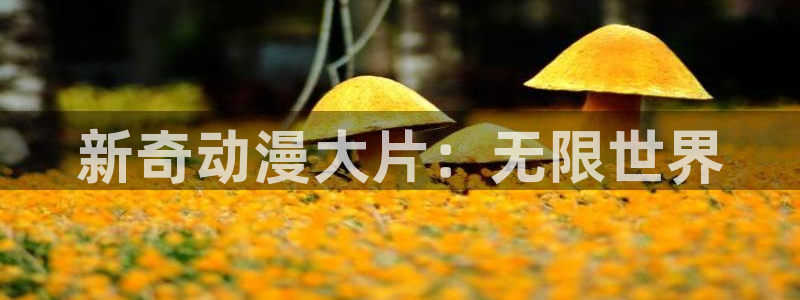 age动漫官网版入口：新奇动漫大片：无限世界