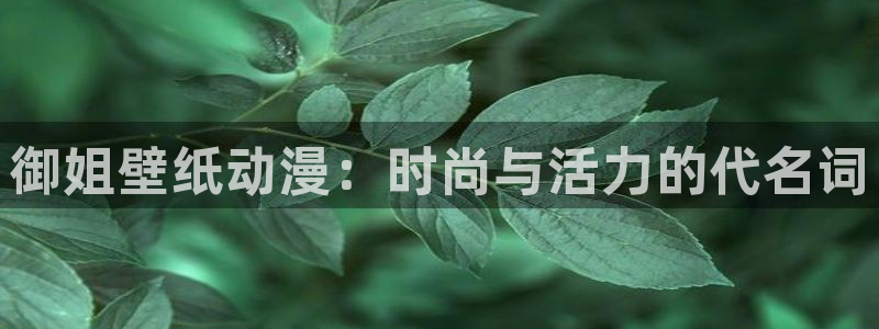 age动漫下载入口：御姐壁纸动漫：时尚与活力的代名词