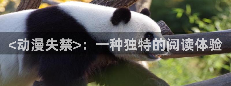 age动漫樱花：<动漫失禁>：一种独特的阅读体验