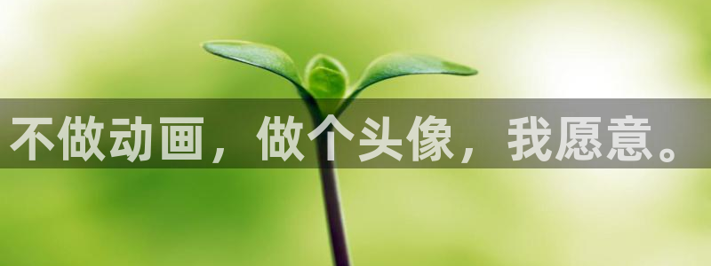 backstage韩漫免费观看：不做动画，做个头像，我愿意。