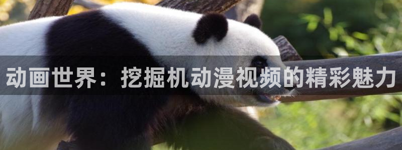 age动漫樱花：动画世界：挖掘机动漫视频的精彩魅力