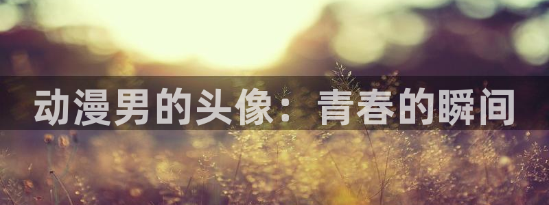 age动漫网官网入口：动漫男的头像：青春的瞬间