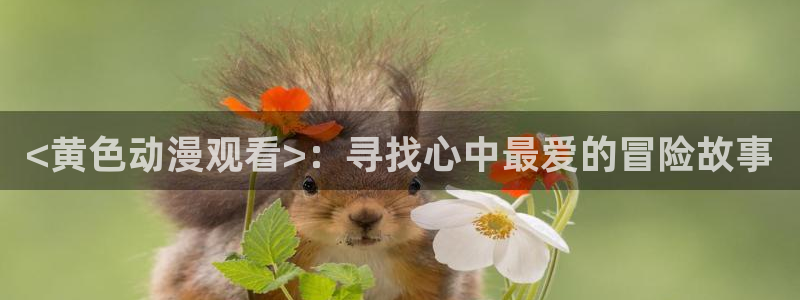 age动漫下载动漫全免费：<黄色动漫观看>：寻找心中最爱的冒险故事