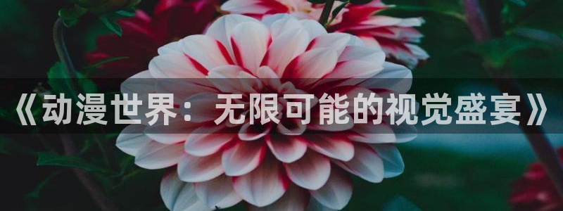 age动漫：《动漫世界：无限可能的视觉盛宴》