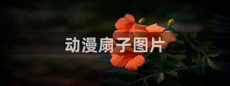 age动漫网下载：动漫扇子图片