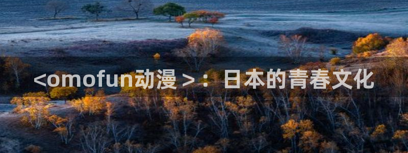age动漫网：<omofun动漫＞：日本的青春文化