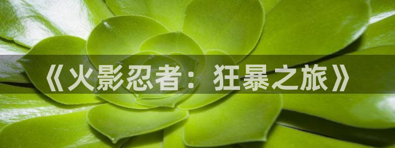 age动漫专注动漫的门户网站：《火影忍者：狂暴之旅》