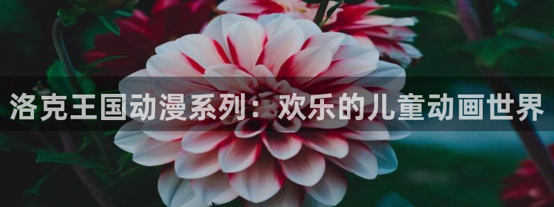 拷贝漫画 copymanager.ory网站：洛克王国动漫系列：欢乐的儿童动画世界