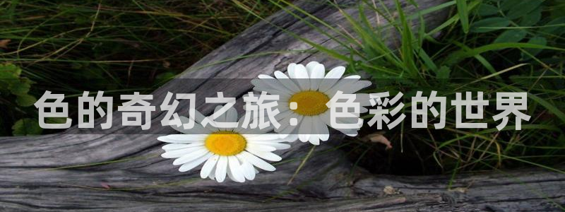 在线动画动漫下载age动漫：色的奇幻之旅：色彩的世界