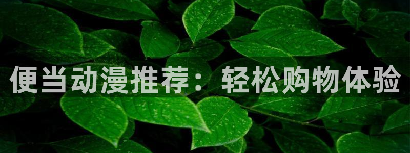 kakaopage韩漫官网：便当动漫推荐：轻松购物体验